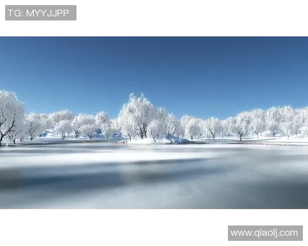 芝加哥天空的璀璨星河与城市风光交织的美丽画卷