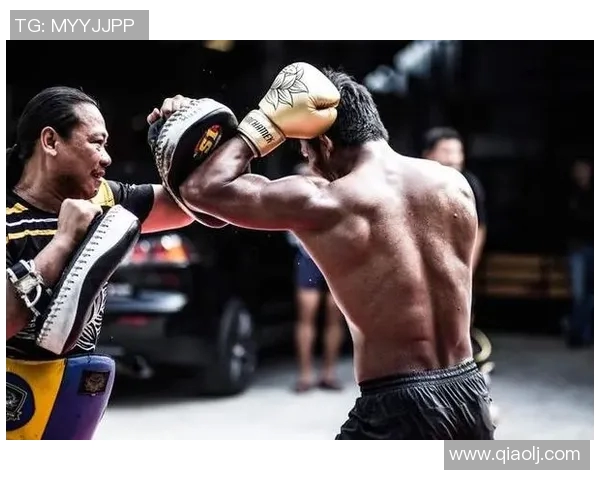 2017年搏击盛事播求对决一龙精彩瞬间回顾与分析