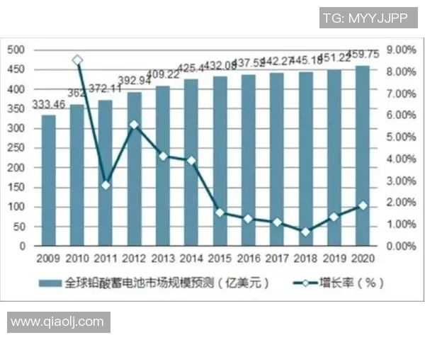 八一双鹿电池在国际市场的崛起与美国竞争的全景分析