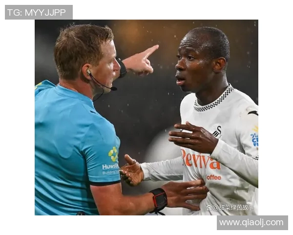 斯旺西主场迎战诺维奇争夺英冠积分榜重要位置